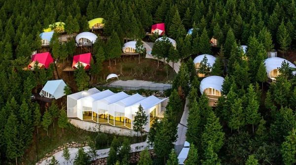 Korea Selatan Punya Resort Warna-warni di Tengah Hutan