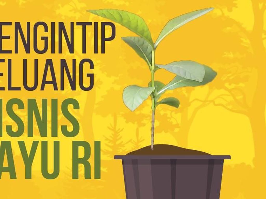 Mengintip Peluang Aneka Bisnis Kayu Mengintip Peluang Aneka Bisnis Kayu