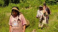 Mengintip Orang-orang Tsimane, Suku Pemilik Jantung Tersehat di Dunia