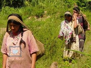 Mengintip Orang-orang Tsimane, Suku Pemilik Jantung Tersehat di Dunia