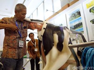 Melihat Teknologi Industri Peternakan di Pameran Livestock 2018