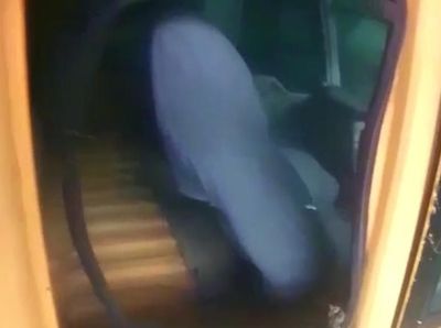 Penampakan Isi Lambung KM Lestari Maju yang Kandas di Selayar