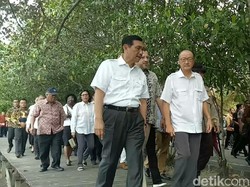 Luhut Ajak Presiden Bank Dunia Keliling Hutan Mangrove di Bali