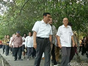 Luhut Ajak Presiden Bank Dunia Keliling Hutan Mangrove di Bali Luhut Ajak Presiden Bank Dunia Keliling Hutan Mangrove di Bali
