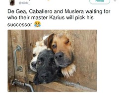 Di antara De Gea, Caballero, dan Muslera, siapa yang paling pantas jadi penerus Karius? Foto: Twitter