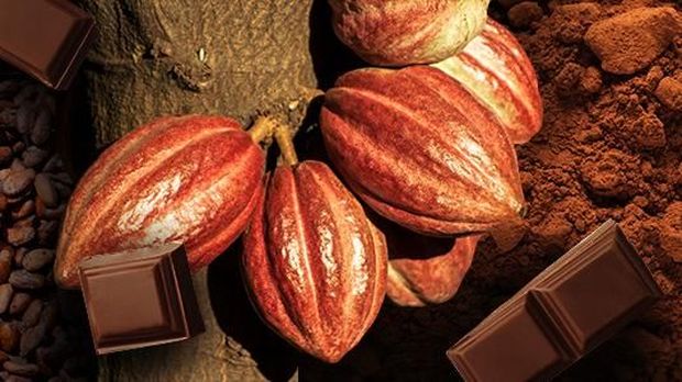 Tanggal 7 Juli dirayakan sebagai hari cokelat sedunia. Siapa yang bisa menolak manisnya sepotong cokelat?