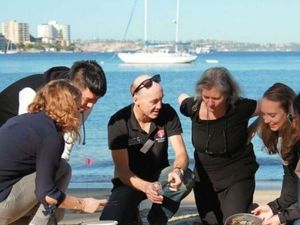 Memungut Sedotan Demi Kurangi 5 Triliun Sampah Plastik di Lautan