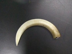 Todong Sejoli yang Lagi Pacaran, 2 ABG di Tangerang Ditangkap