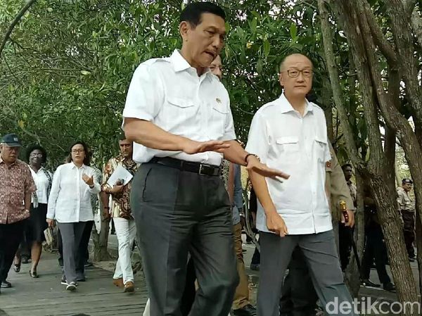 Pagi-pagi, Luhut dan Bos Bank Dunia Keliling Hutan Mangrove