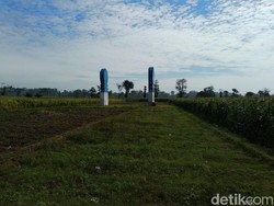 Ini Ukuran Nisan Raksasa yang Hebohkan Warga Probolinggo