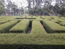 Mengunjungi Taman Labirin di Malang yang Asyik