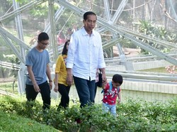 Yuk, Jalan Kaki! Jokowi Bilang Lebih Sehat dan Asyik