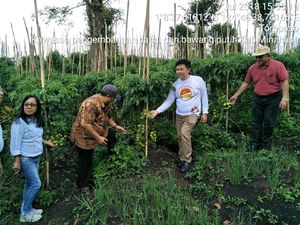 Ini Kawasan Penghasil Cabai & Bawang Merah di Kaki Gunung Sopotan