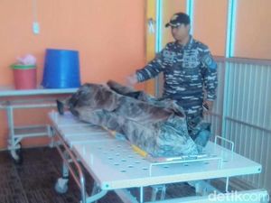 Seorang Nelayan Pacitan Ditemukan Mengapung di Pantai Tamperan Seorang Nelayan Pacitan Ditemukan Mengapung di Pantai Tamperan