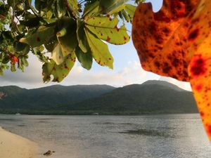 Cantiknya Turtle Point Beach di Karimunjawa
