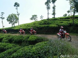 Trabas Kebun Teh dengan Honda CRF150L