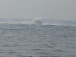 PLTGU Cilegon Jamin Tak Ada Gangguan Pasokan Listrik PLTGU Cilegon Jamin Tak Ada Gangguan Pasokan Listrik