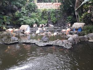 Kebun Binatang yang Tak Biasa di Batu