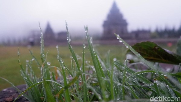 Suhu Di Dieng Pagi Ini 10 Derajat Celsius Embun Pun Tak Lagi