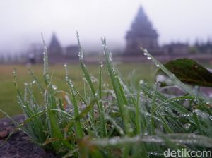 Suhu di Dieng Pagi Ini 10 Derajat Celsius, Embun pun Tak Lagi Beku Suhu di Dieng Pagi Ini 10 Derajat Celsius, Embun pun Tak Lagi Beku