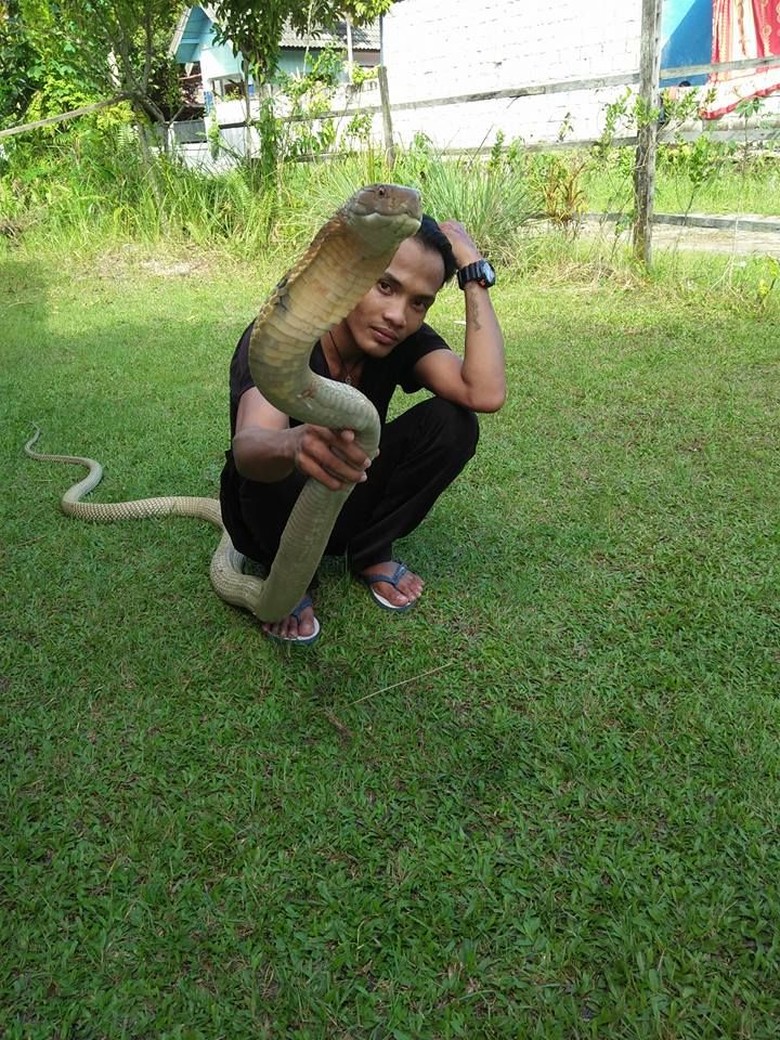 Potret Aksi Rizky Sebelum Tewas Dipatuk King Cobra di CFD