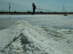 Harga Garam Anjlok, Petani Garam di Cirebon Mengeluh