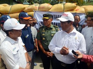 Bantuan Pupuk untuk Korban Puso di Sulawesi Selatan