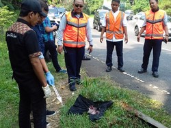 Mayat Bayi Ditemukan di Pinggir Jalan Exit Tol Bintaro