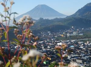 Ada yang Baru di Dieng Culture Festival 2018, Apa Saja?