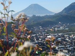Ada yang Baru di Dieng Culture Festival 2018, Apa Saja?