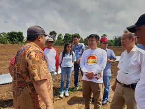 Virus Kuning yang Serang 4.000 Hektar Tanaman Cabai Bisa Dicegah