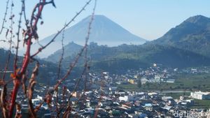 Foto: Kecantikan Dingin Dataran Tinggi Dieng yang Mulai Menghangat