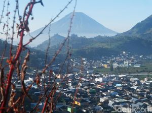Foto: Kecantikan Dingin Dataran Tinggi Dieng yang Mulai Menghangat