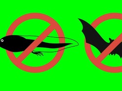 Seruan Kosong-kosong hingga Berakhirnya Kampret-Cebong