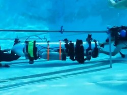 Elon Musk Dikritik Jadi Pahlawan Kesiangan