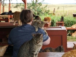 Cegah Toksoplasma Sejak Dini