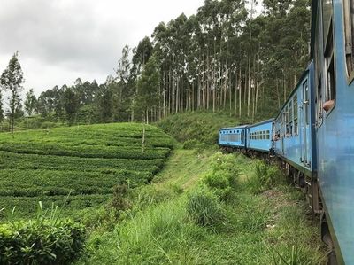 Foto: Jalur Kereta Tercantik di Sri Lanka