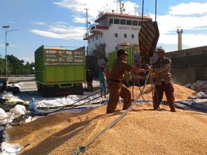Ekspor Jagung Sulteng ke Filipina Capai 14 Ribu Ton