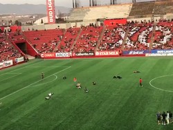 Video: Ngakak! Ada Lomba Guling-guling ala Neymar