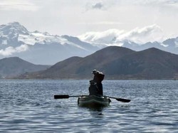 Rantai Makanan di Danau beserta Contohnya