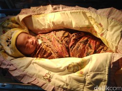 Kejam! Bayi Lucu Ini Dibuang Dalam Kardus dan Dikerubuti Semut
