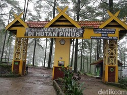 Yuk Jalan-jalan ke Gowa, Ada Event Beautiful Malino