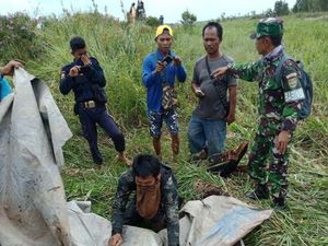 Diterkam Buaya Saat Memancing, Alif Ditemukan Tewas Diterkam Buaya Saat Memancing, Alif Ditemukan Tewas