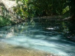 Pencemaran Sungai di Pesisir Trenggalek Dikeluhkan
