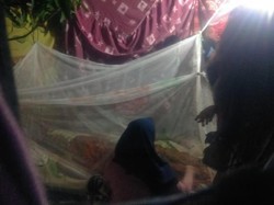 Keluarga Gelar Ritual, Rizky Korban King Cobra Belum Dimakamkan Keluarga Gelar Ritual, Rizky Korban King Cobra Belum Dimakamkan