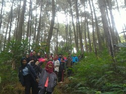 Naik Gunung Ketinggian 1.800 Kaki, Pendaki Cilik Punguti Sampah