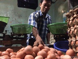 Telur Ayam Rp 28.000/Kg, Pedagang: Pembeli Tanya, Kok Mahal?