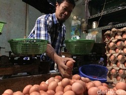 Pedagang Prediksi Harga Telur di DKI Tembus Rp 30.000/Kg