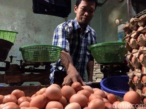 Pesan Mendag ke Pedagang Telur, Jangan Ambil Untung Kebanyakan Pesan Mendag ke Pedagang Telur, Jangan Ambil Untung Kebanyakan