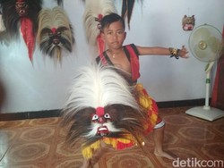 Rendy, Penari Bujang Ganong Cilik Asli Putra Ponorogo